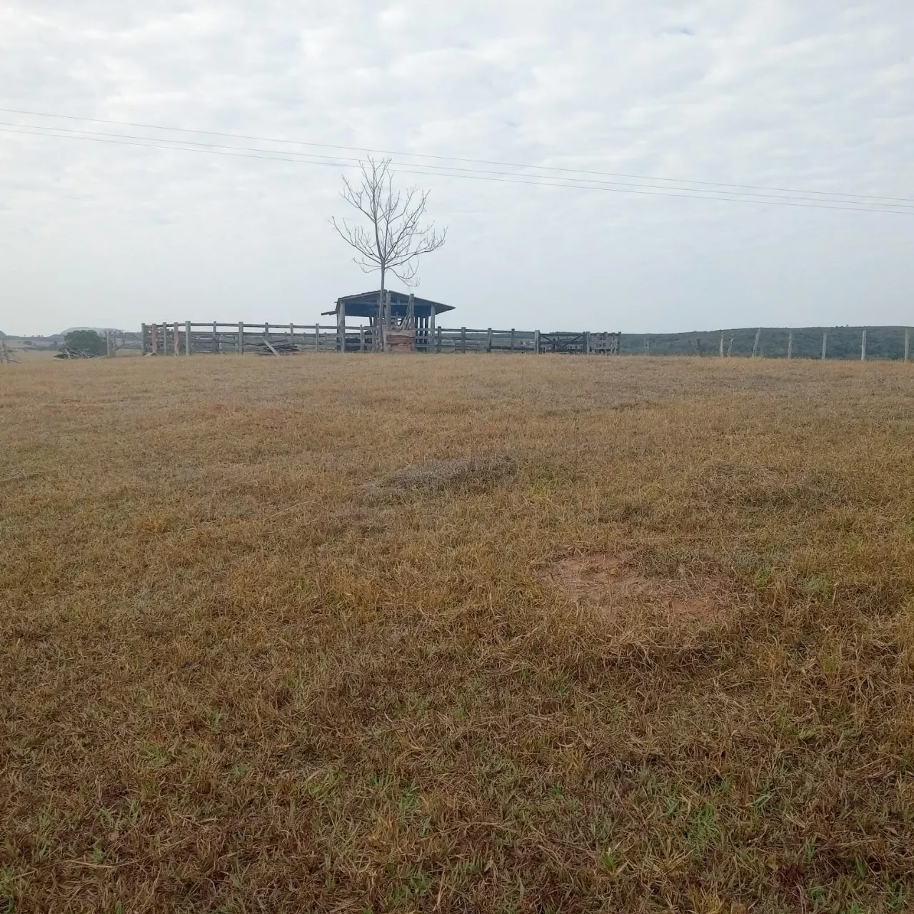 Fazenda à venda de 143 ha em Bofete, SP, Brasil