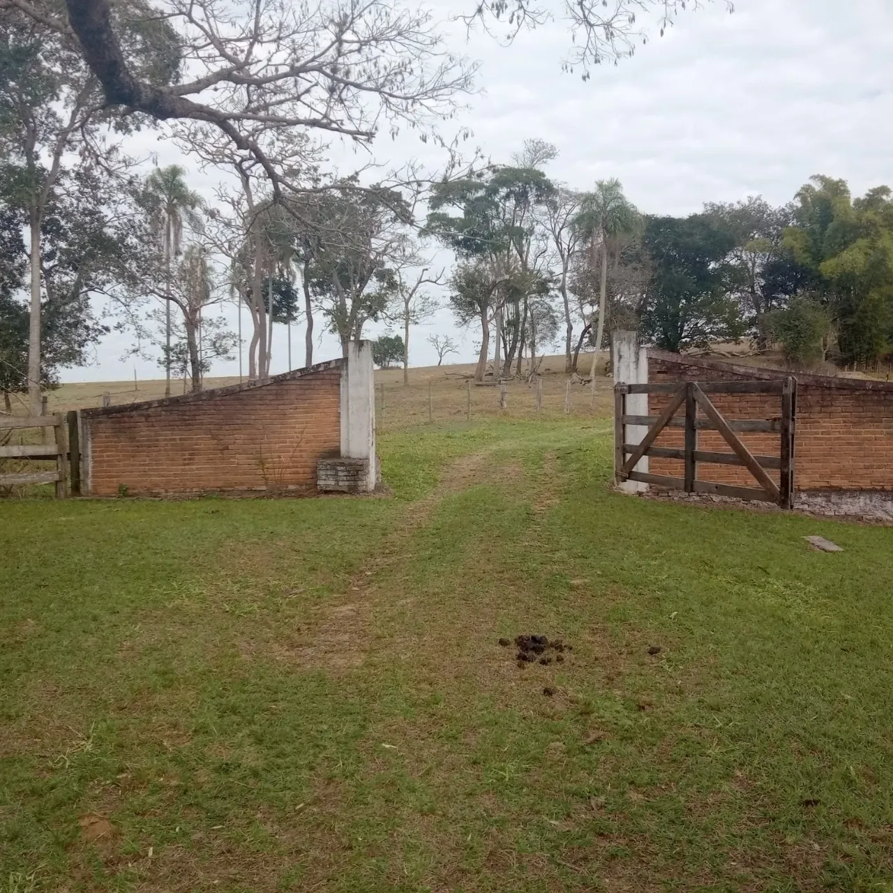 Fazenda à venda de 143 ha em Bofete, SP, Brasil