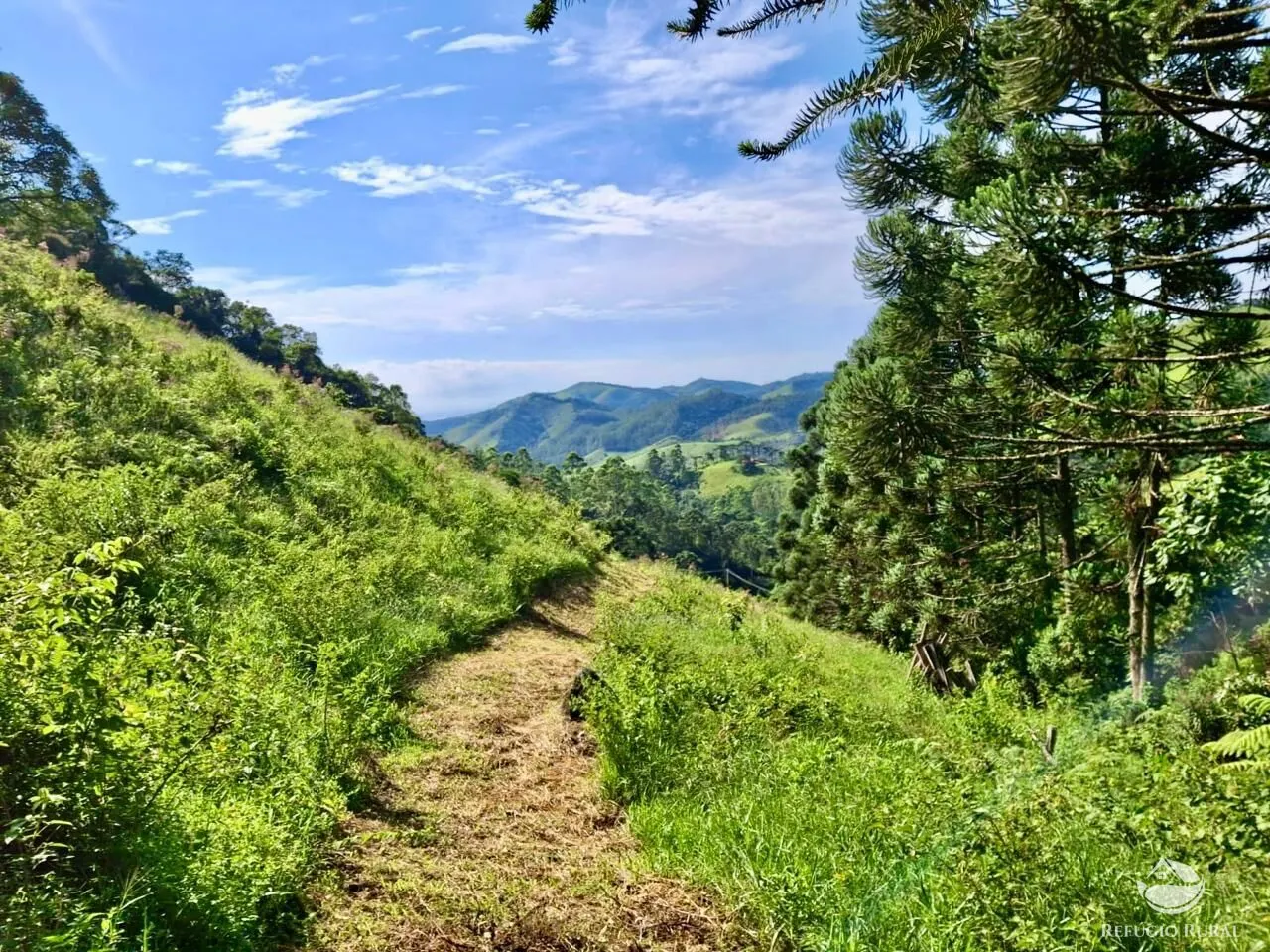 Plot for sale of 5 acres in São José dos Campos, SP, Brazil