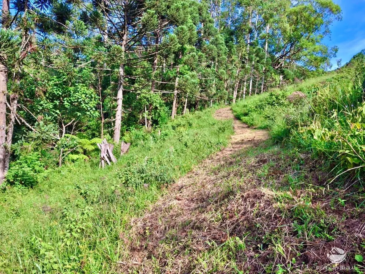 Plot for sale of 5 acres in São José dos Campos, SP, Brazil
