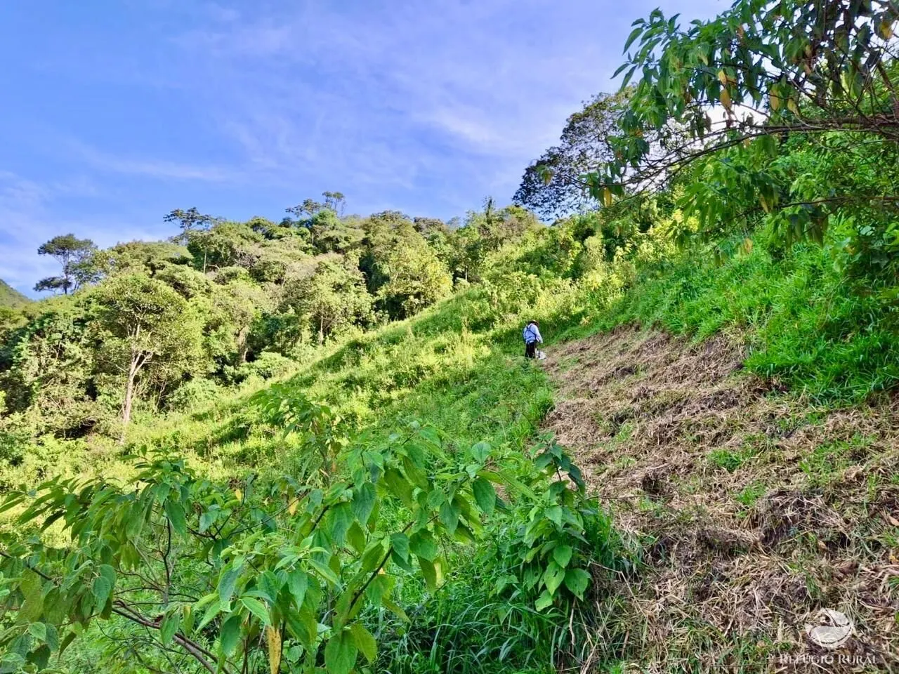 Plot for sale of 5 acres in São José dos Campos, SP, Brazil