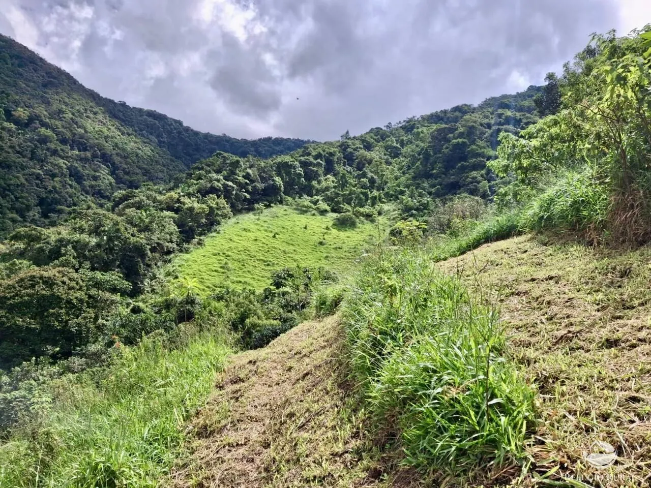Plot for sale of 5 acres in São José dos Campos, SP, Brazil