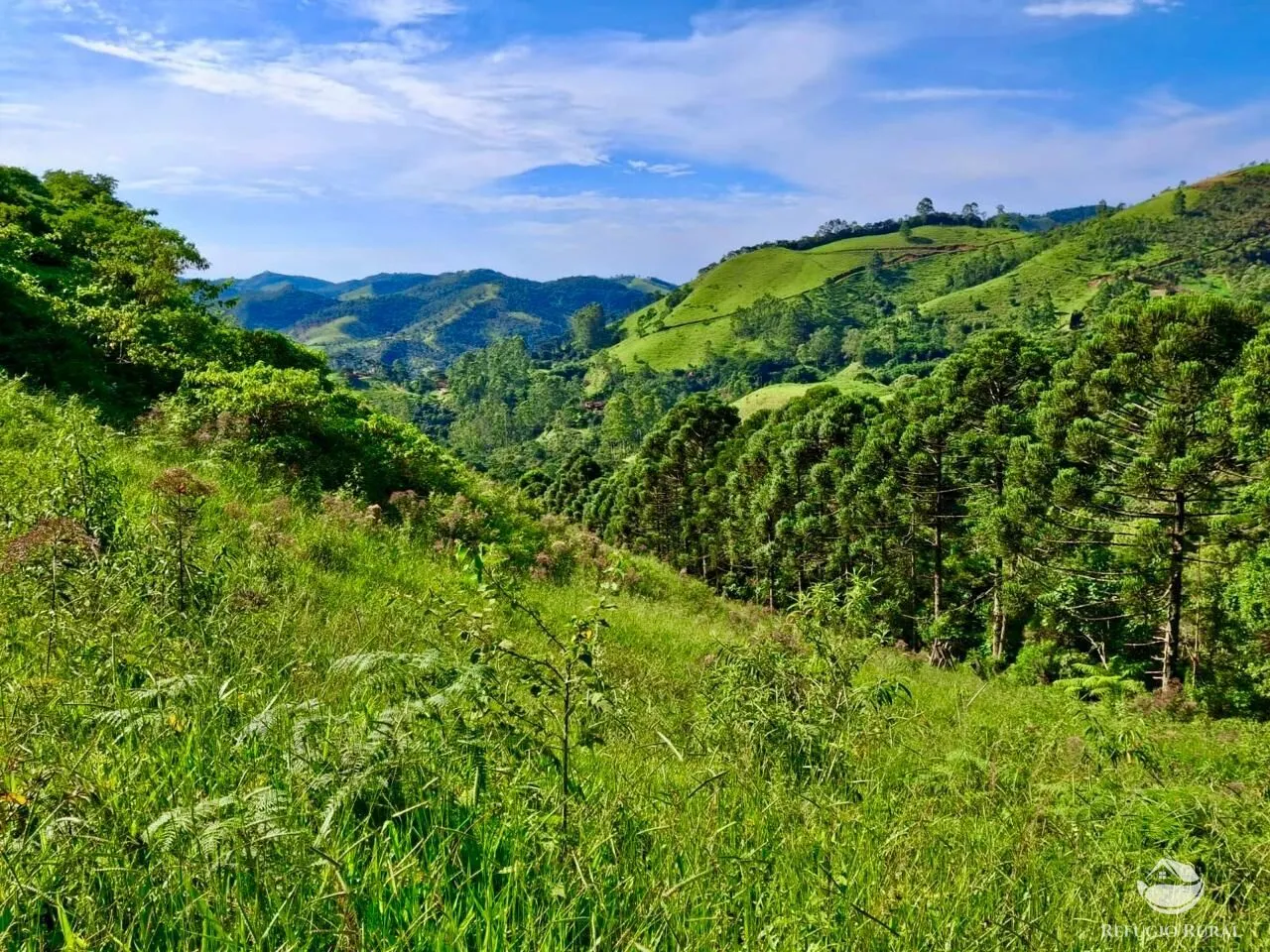 Plot for sale of 5 acres in São José dos Campos, SP, Brazil