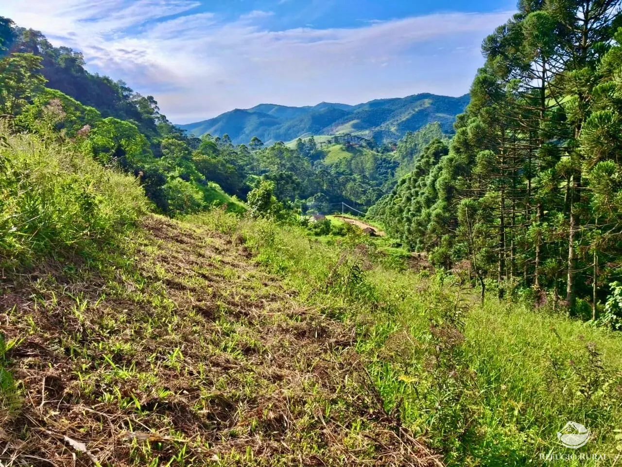 Plot for sale of 5 acres in São José dos Campos, SP, Brazil