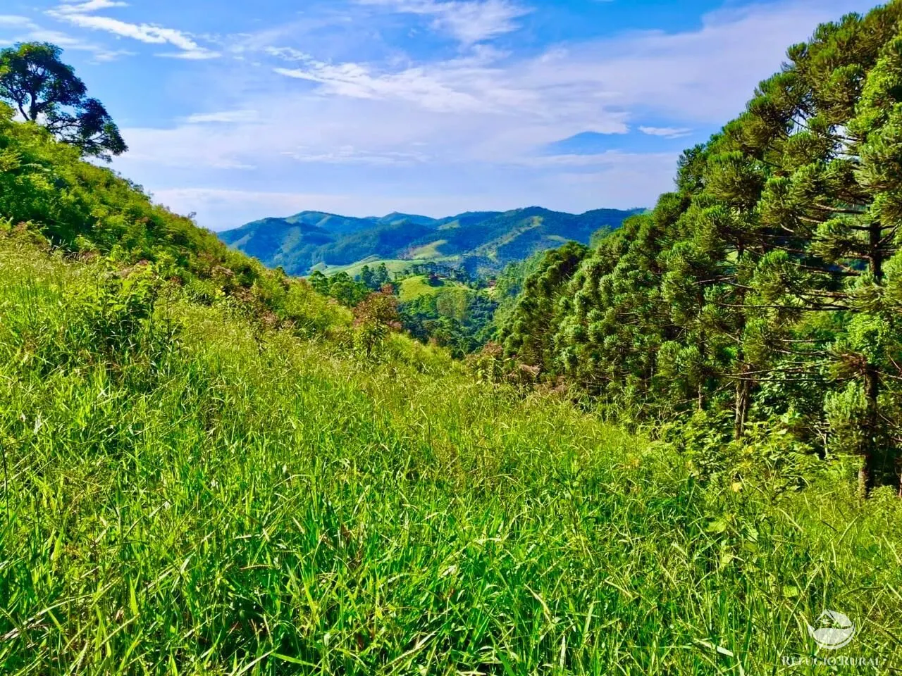 Plot for sale of 5 acres in São José dos Campos, SP, Brazil