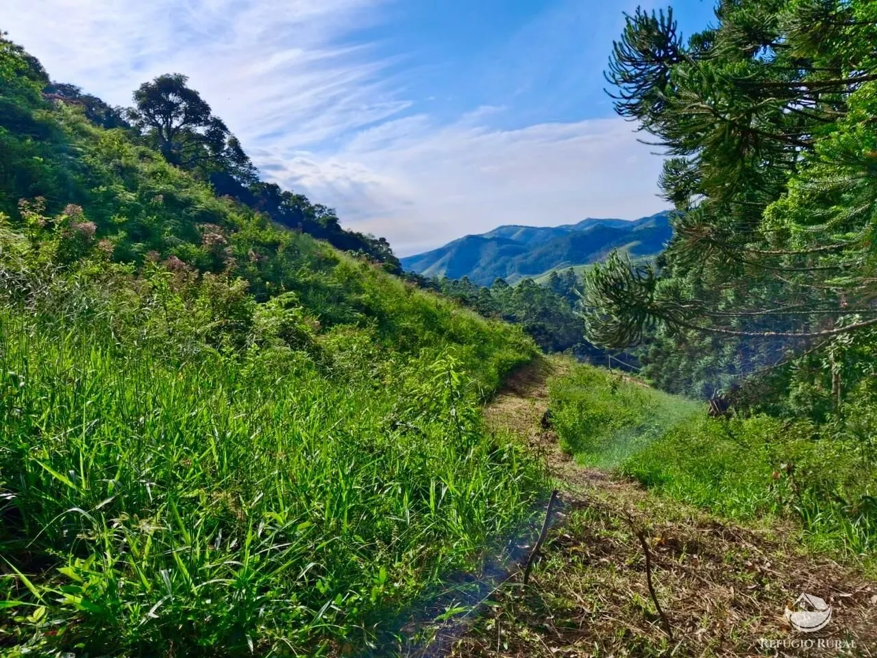 Plot for sale of 5 acres in São José dos Campos, SP, Brazil