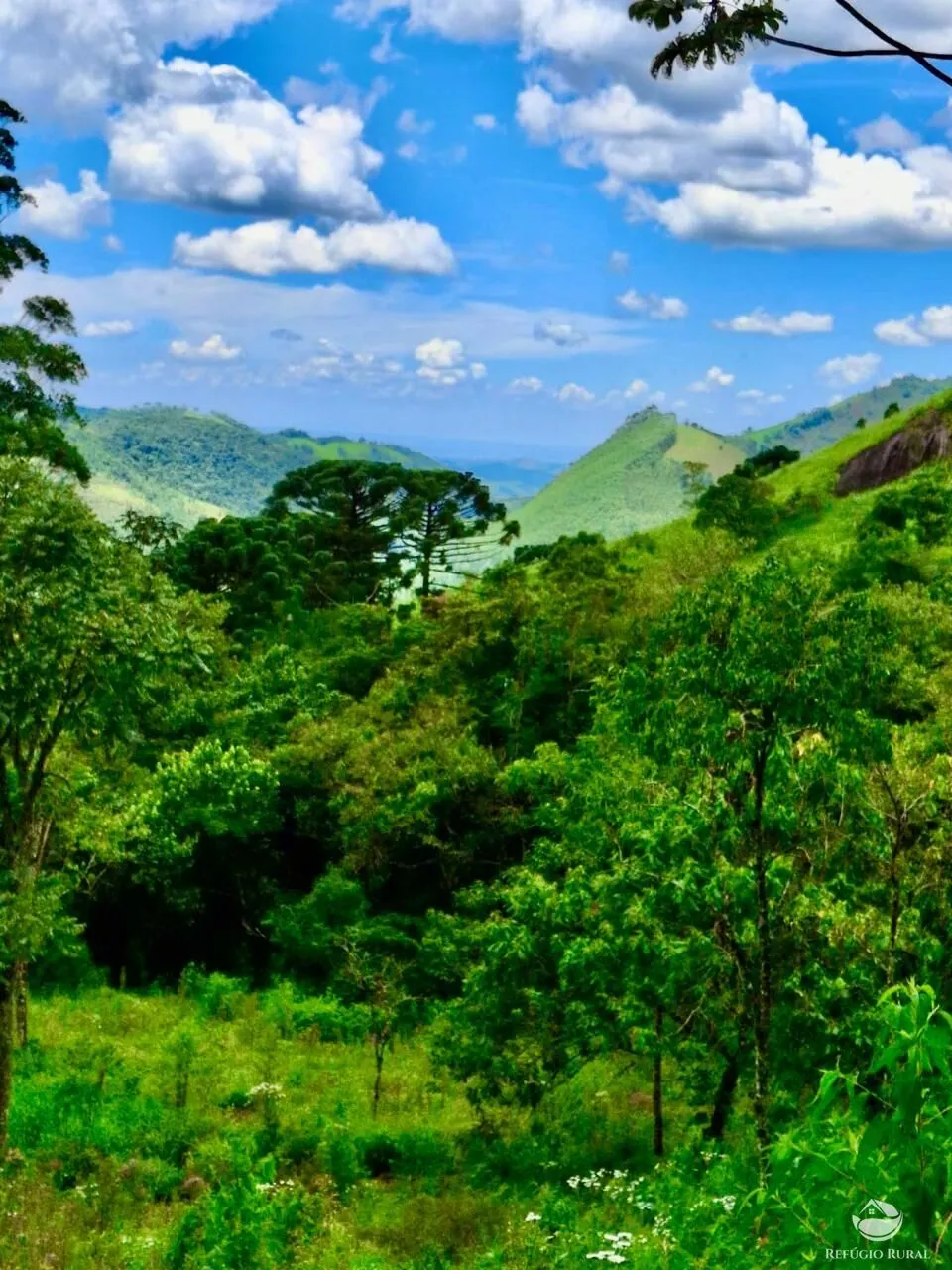 Plot for sale of 5 acres in São José dos Campos, SP, Brazil