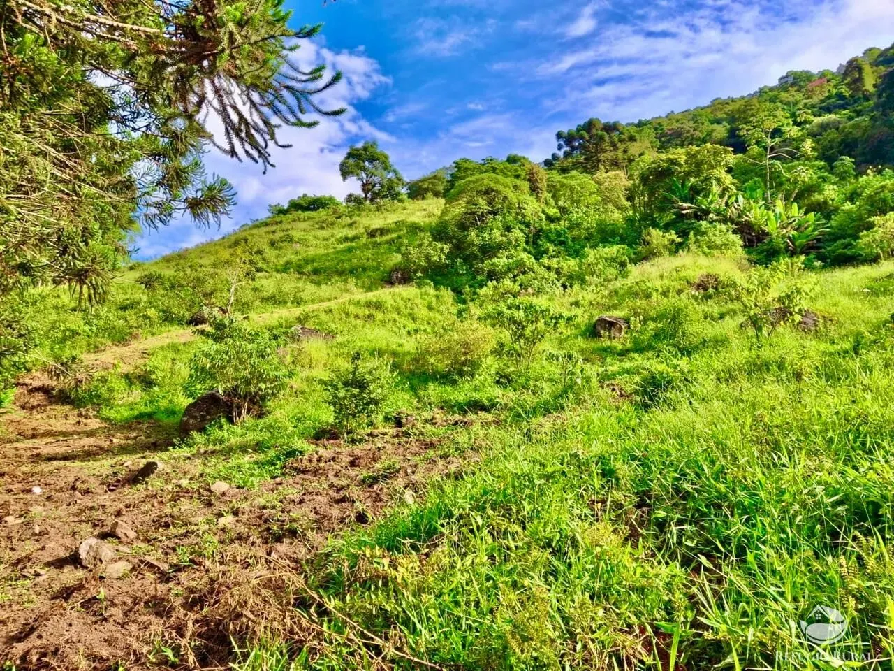 Plot for sale of 5 acres in São José dos Campos, SP, Brazil
