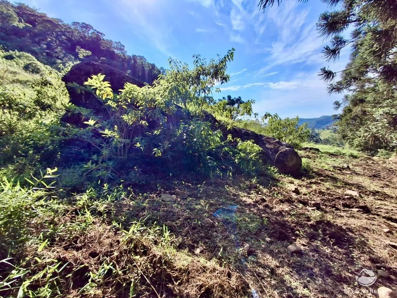 Plot for sale of 5 acres in São José dos Campos, SP, Brazil