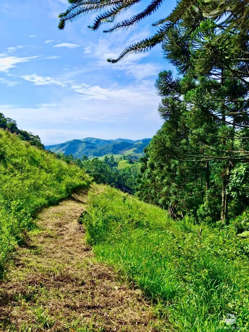 Plot for sale of 5 acres in São José dos Campos, SP, Brazil