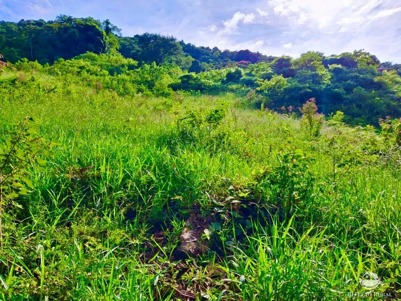 Plot for sale of 5 acres in São José dos Campos, SP, Brazil