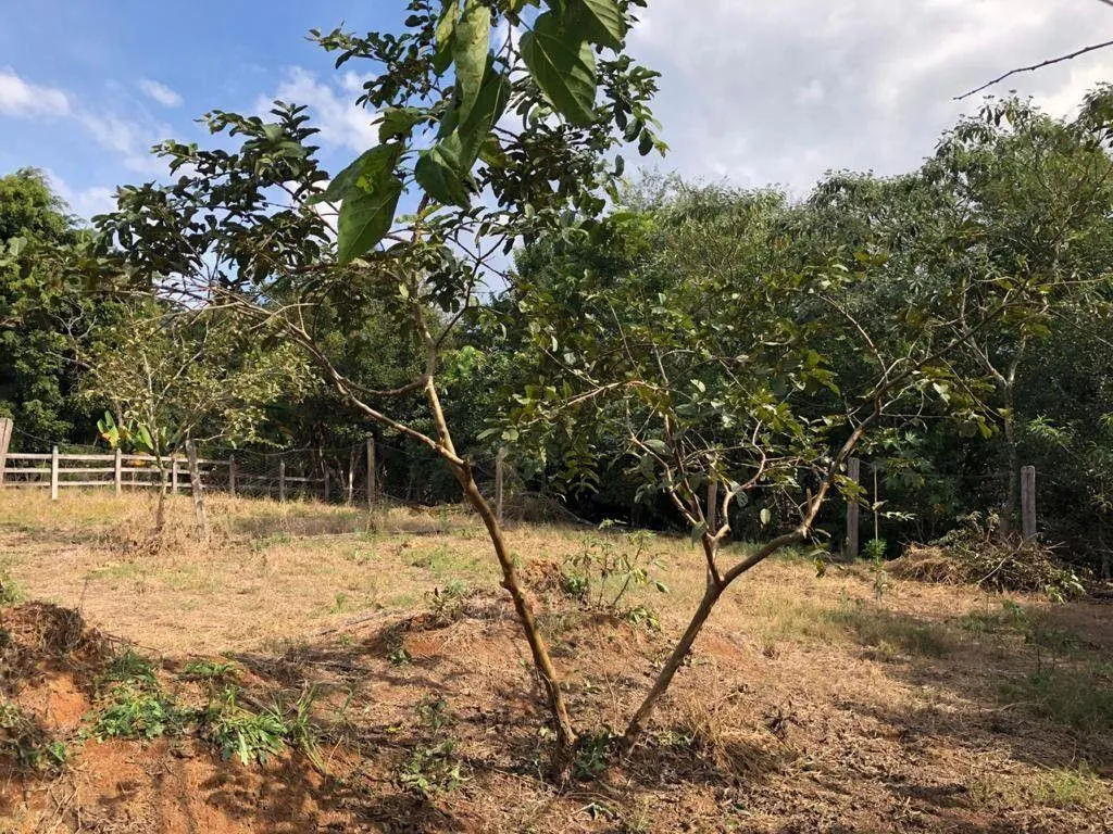 Chácara à venda de 2.400 m² em Pouso Alegre, MG, Brasil