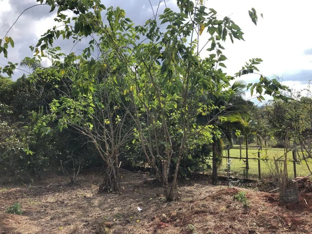 Chácara à venda de 2.400 m² em Pouso Alegre, MG, Brasil