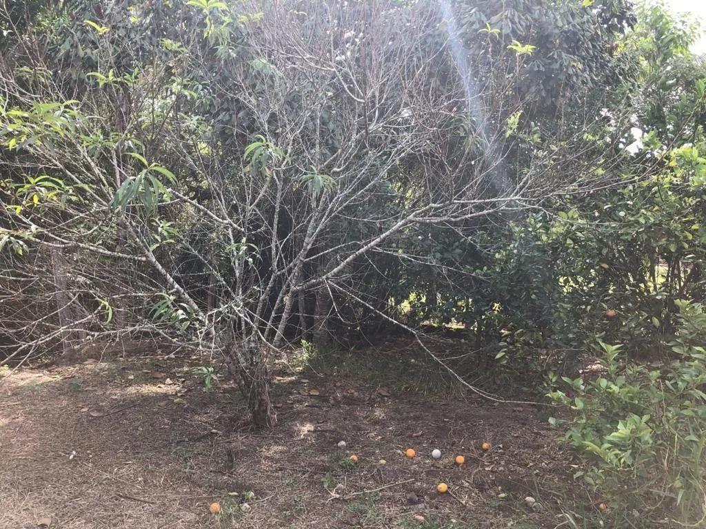 Chácara à venda de 2.400 m² em Pouso Alegre, MG, Brasil