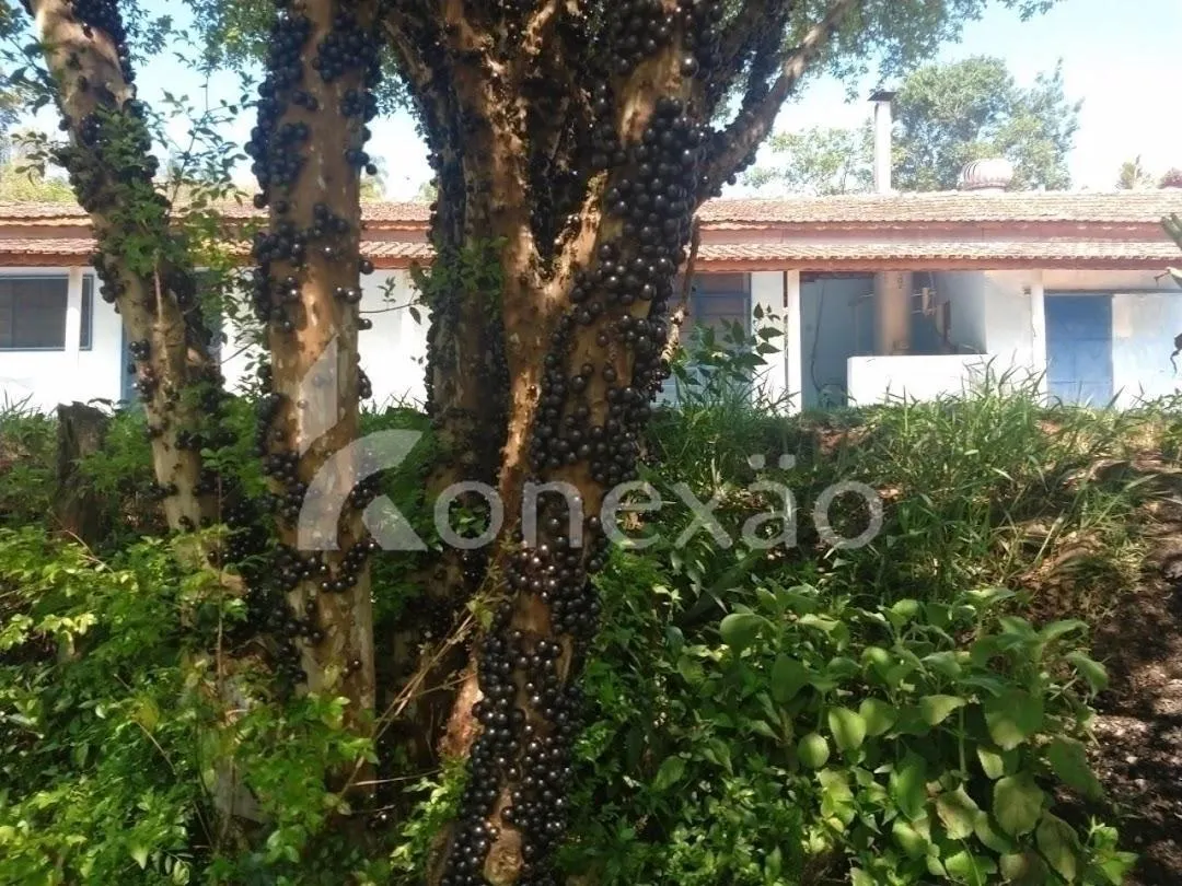 Fazenda à venda de 100 ha em Taubaté, SP, Brasil
