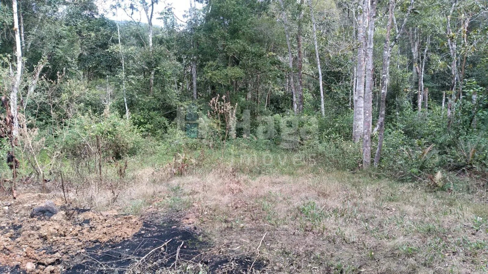 Farm for sale of 4 acres in Itajaí, SC, Brazil