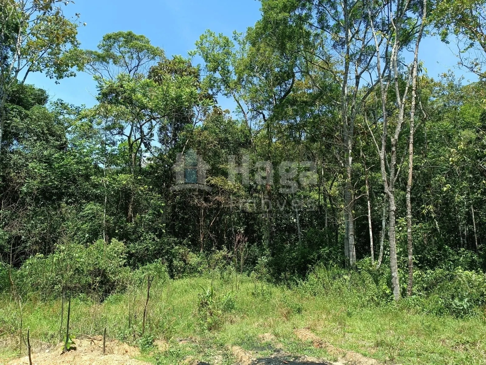 Farm for sale of 4 acres in Itajaí, SC, Brazil