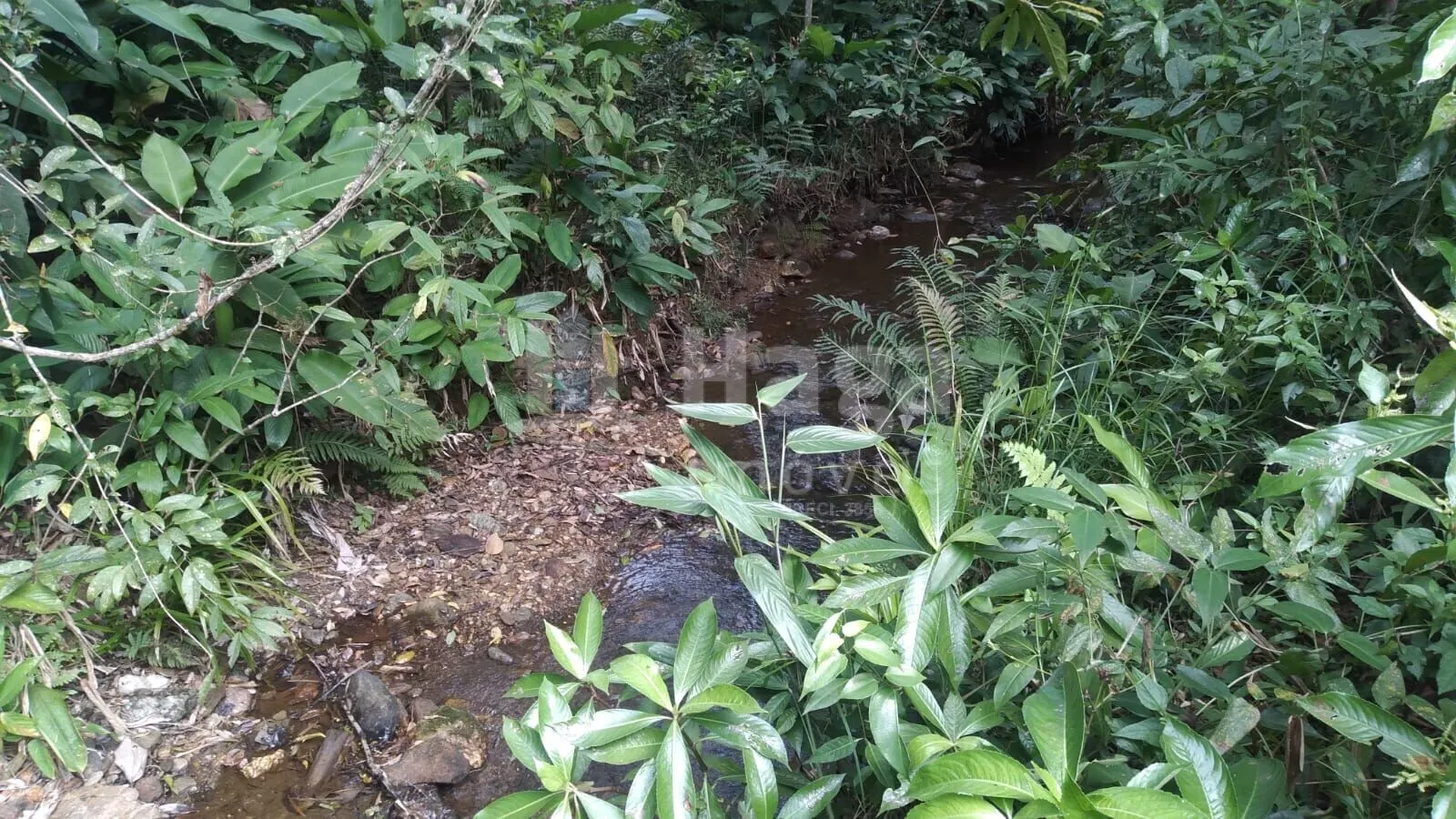 Farm for sale of 4 acres in Itajaí, SC, Brazil