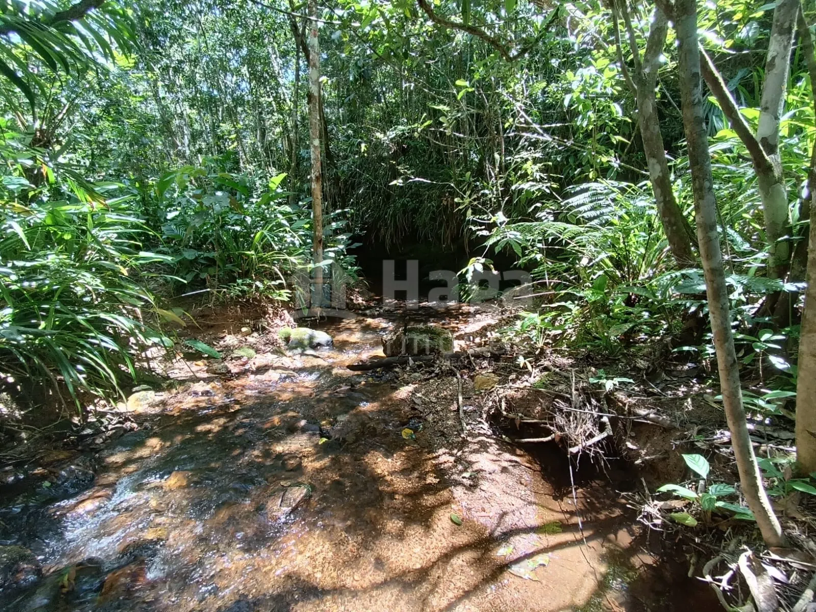 Farm for sale of 4 acres in Itajaí, SC, Brazil
