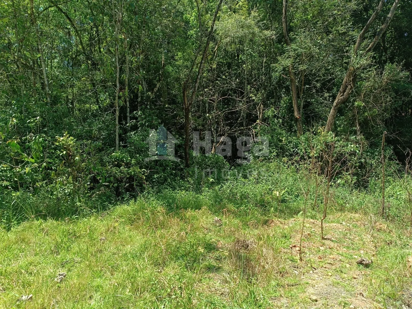 Farm for sale of 4 acres in Itajaí, SC, Brazil