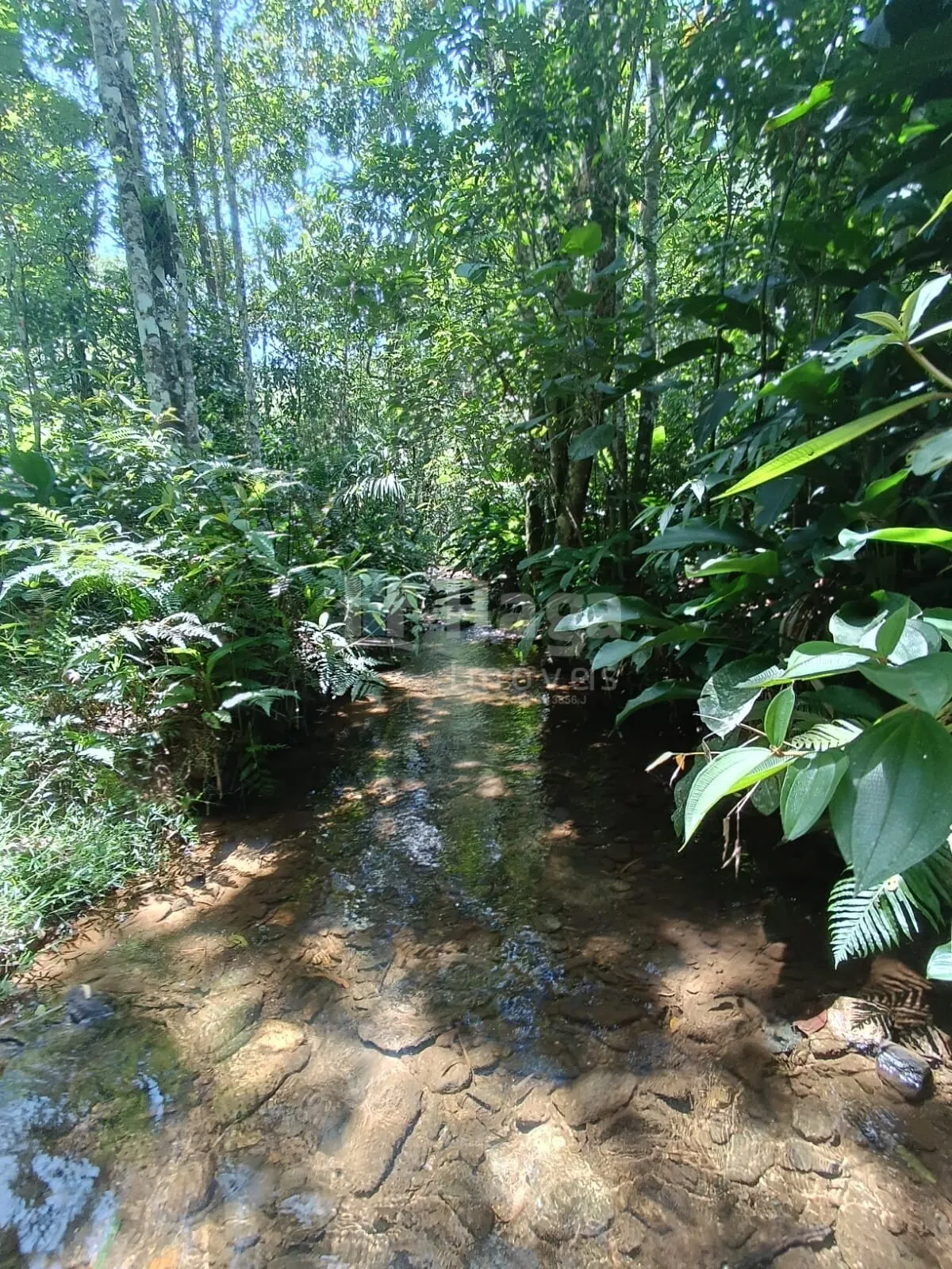 Farm for sale of 4 acres in Itajaí, SC, Brazil