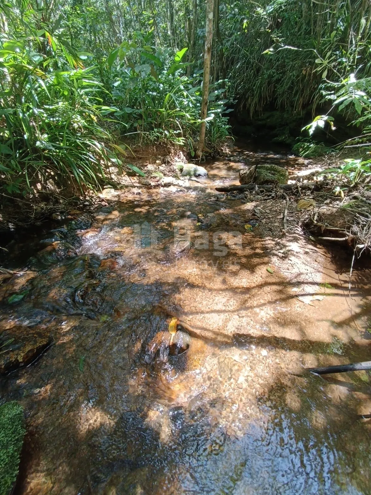 Farm for sale of 4 acres in Itajaí, SC, Brazil