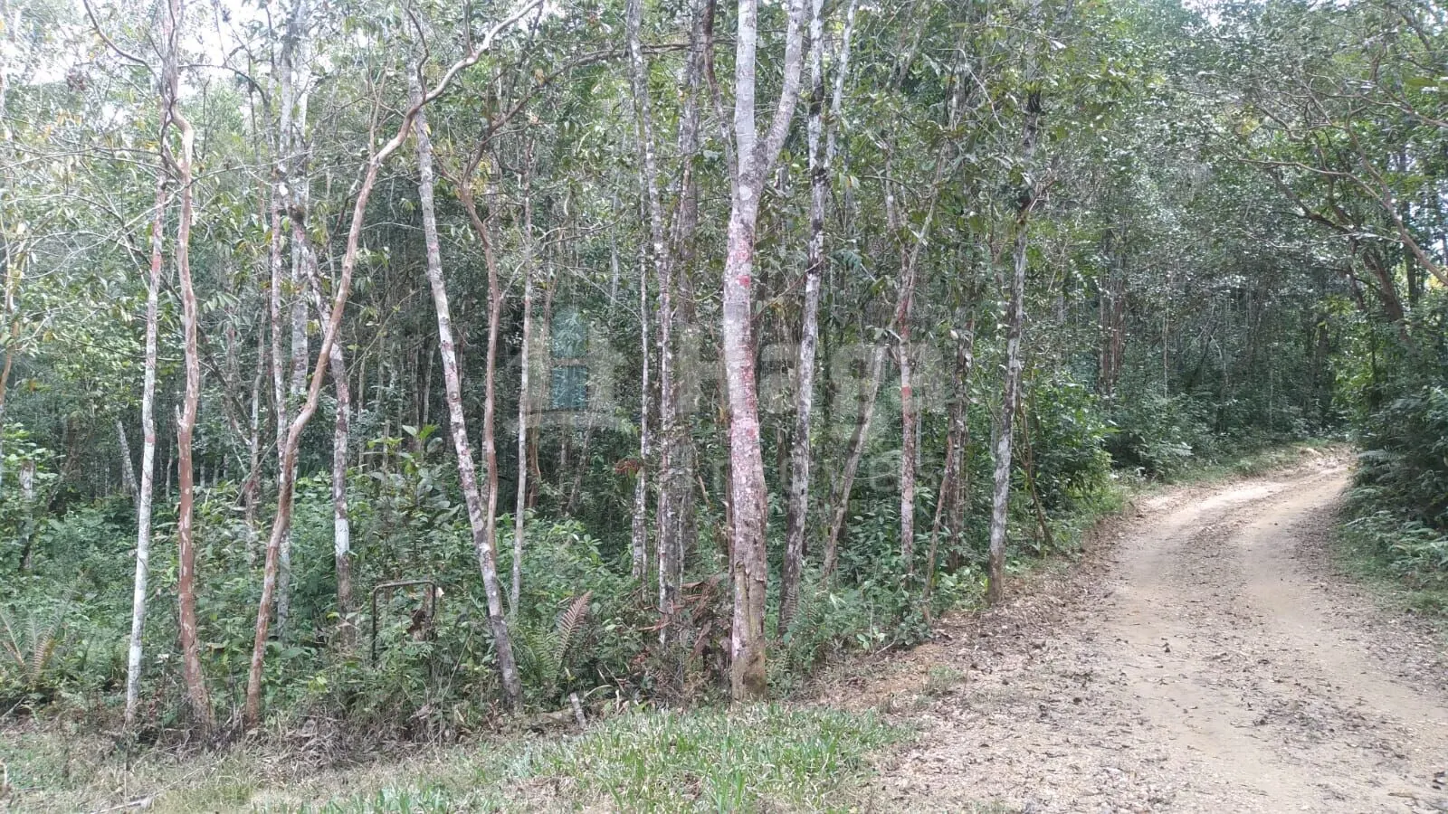 Farm for sale of 4 acres in Itajaí, SC, Brazil
