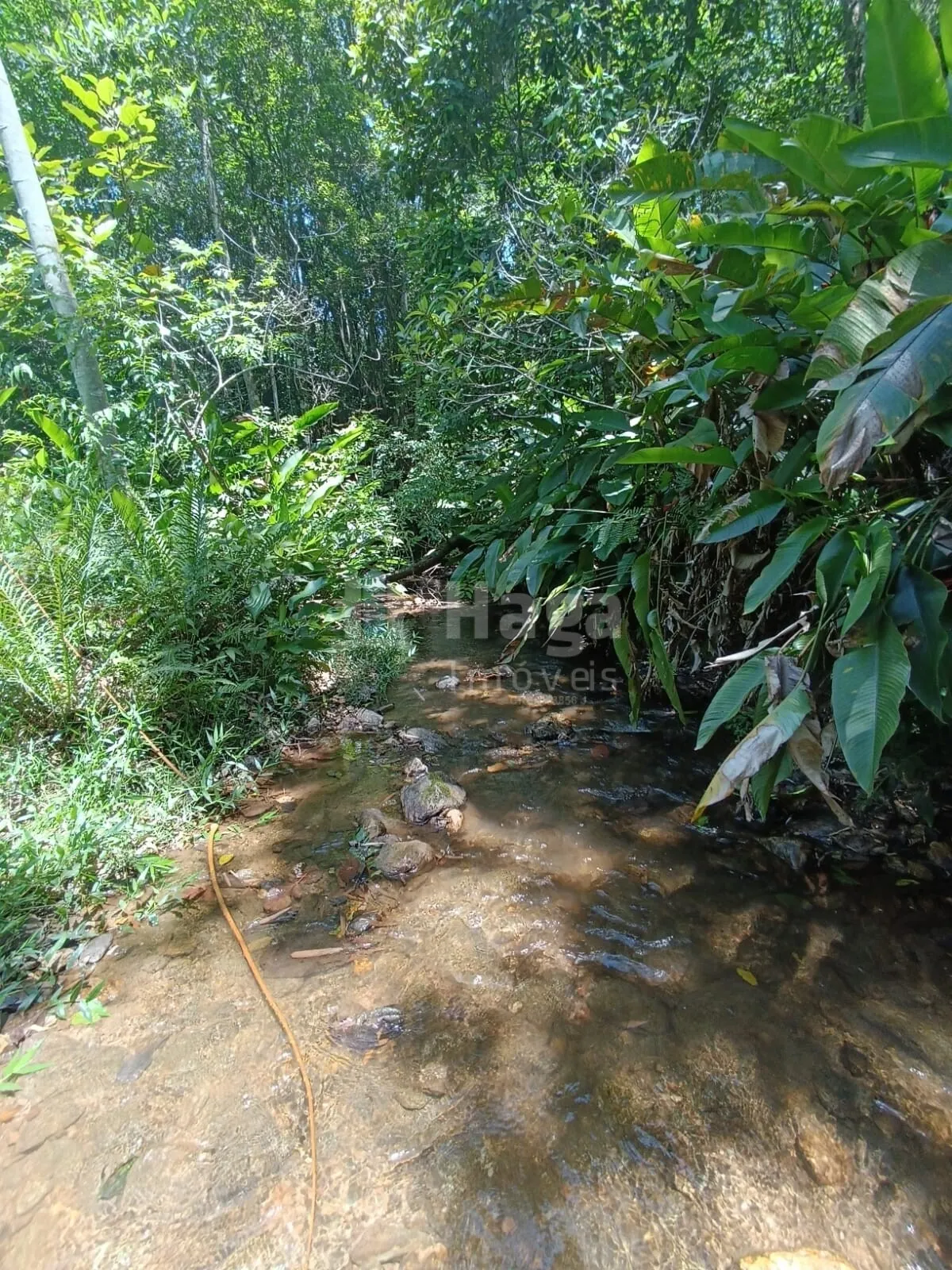 Farm for sale of 4 acres in Itajaí, SC, Brazil