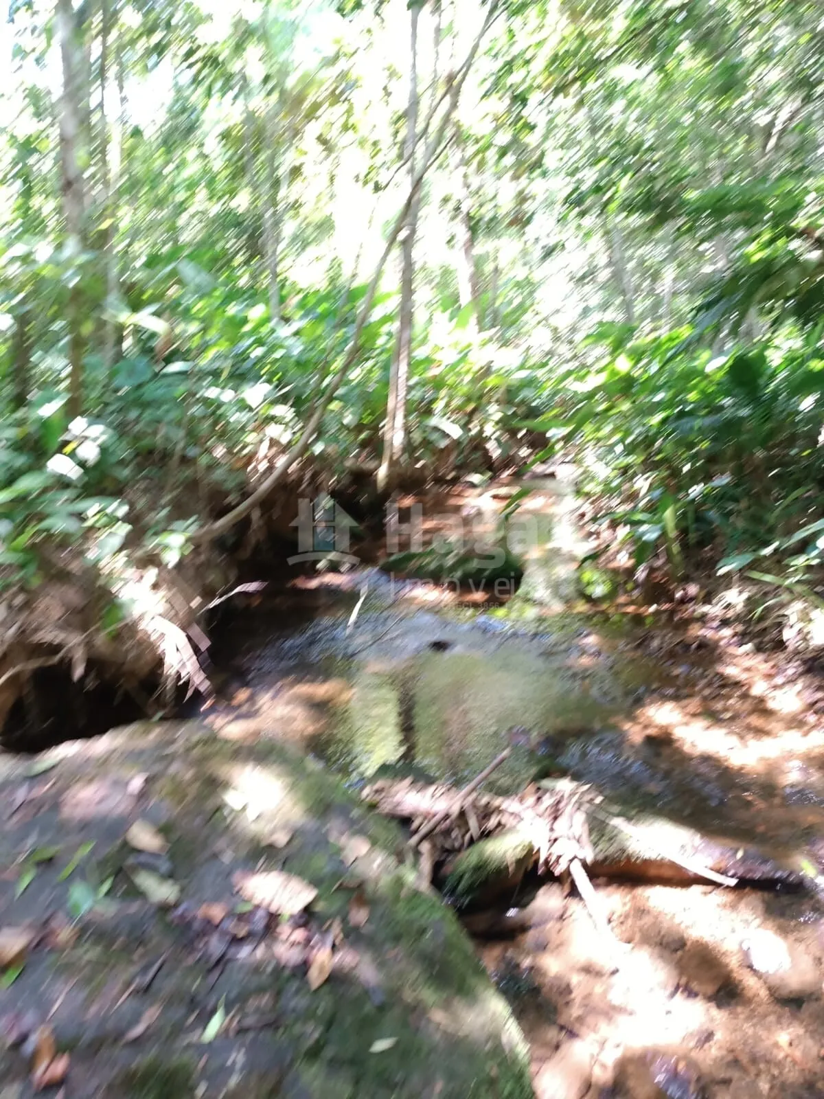 Farm for sale of 4 acres in Itajaí, SC, Brazil