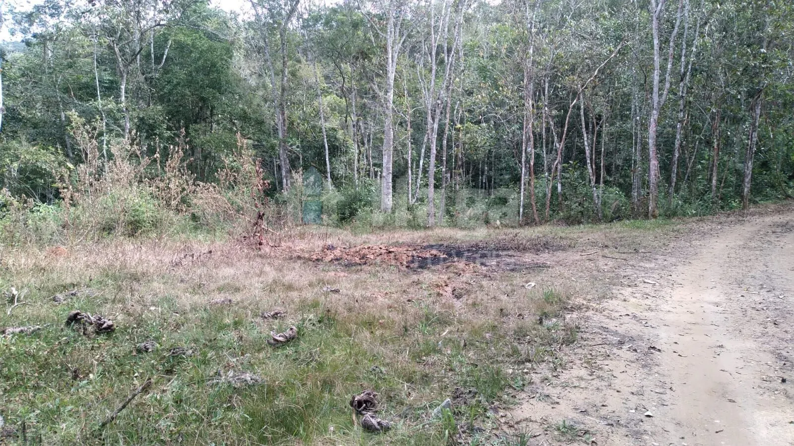 Farm for sale of 4 acres in Itajaí, SC, Brazil