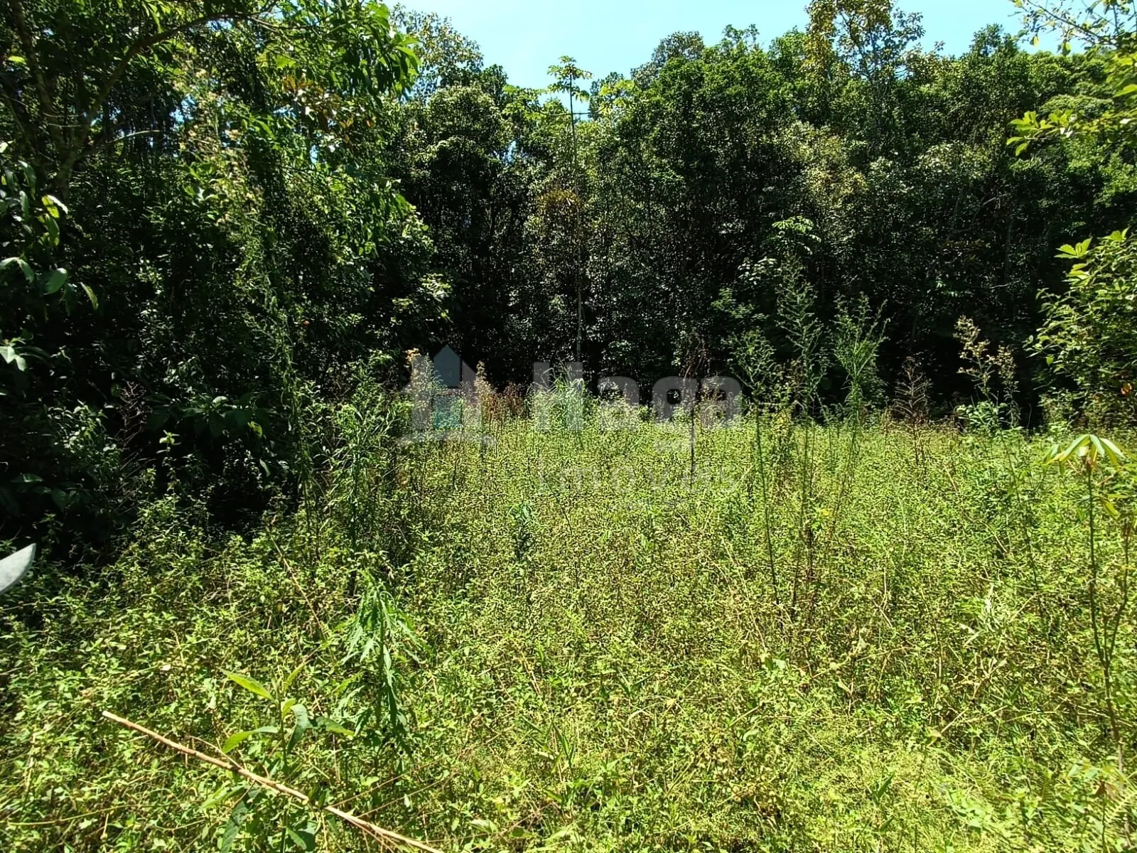 Farm for sale of 4 acres in Itajaí, SC, Brazil