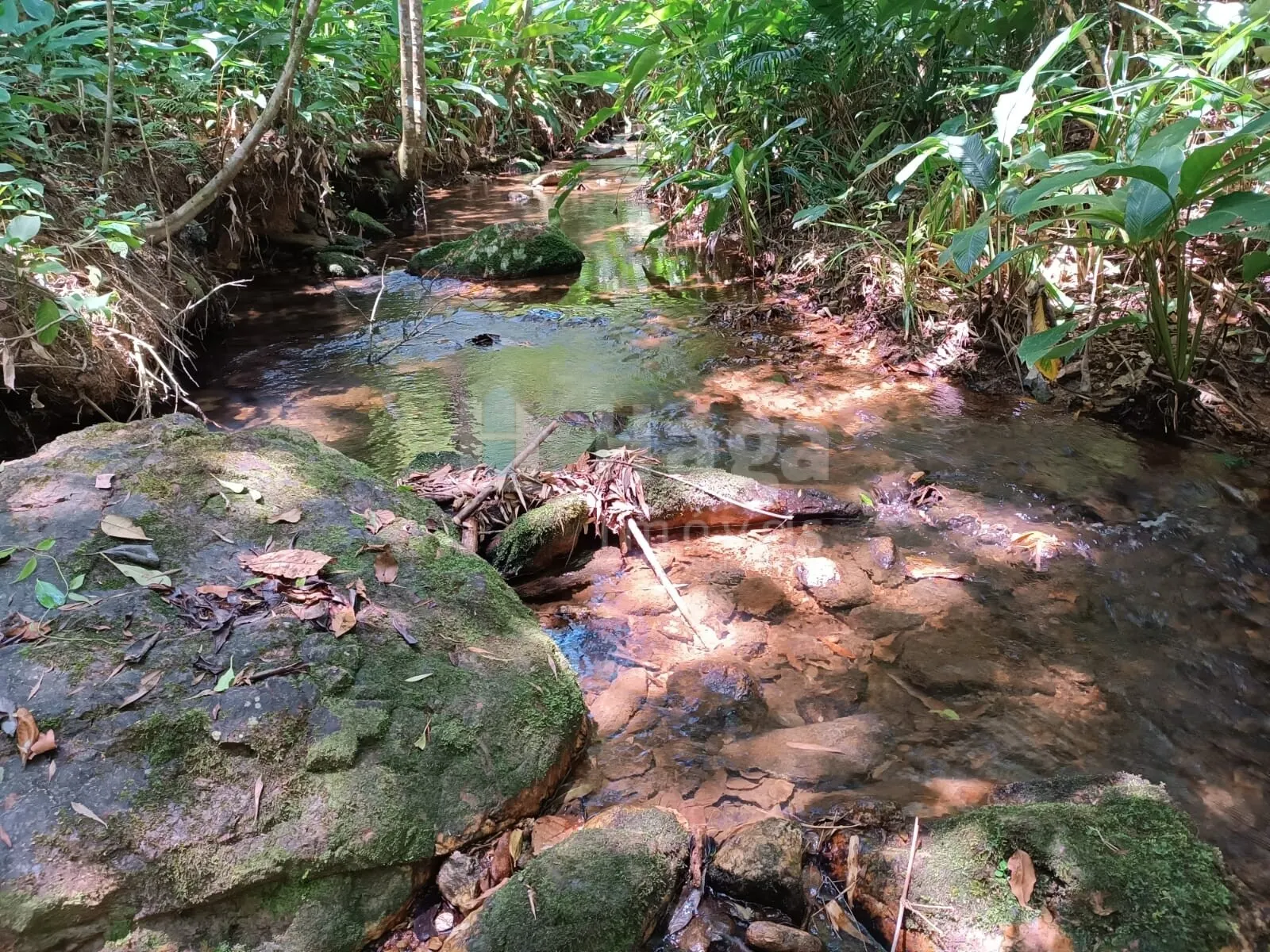 Farm for sale of 4 acres in Itajaí, SC, Brazil
