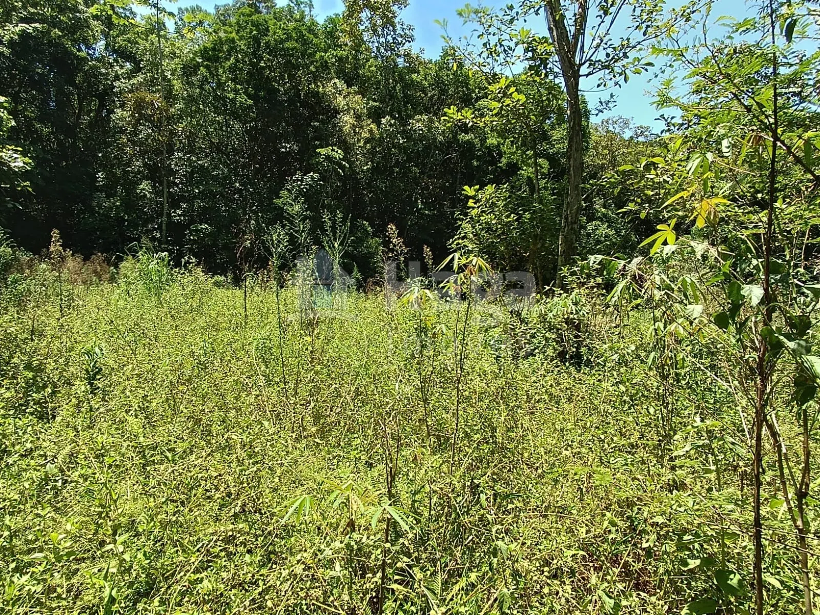 Farm for sale of 4 acres in Itajaí, SC, Brazil