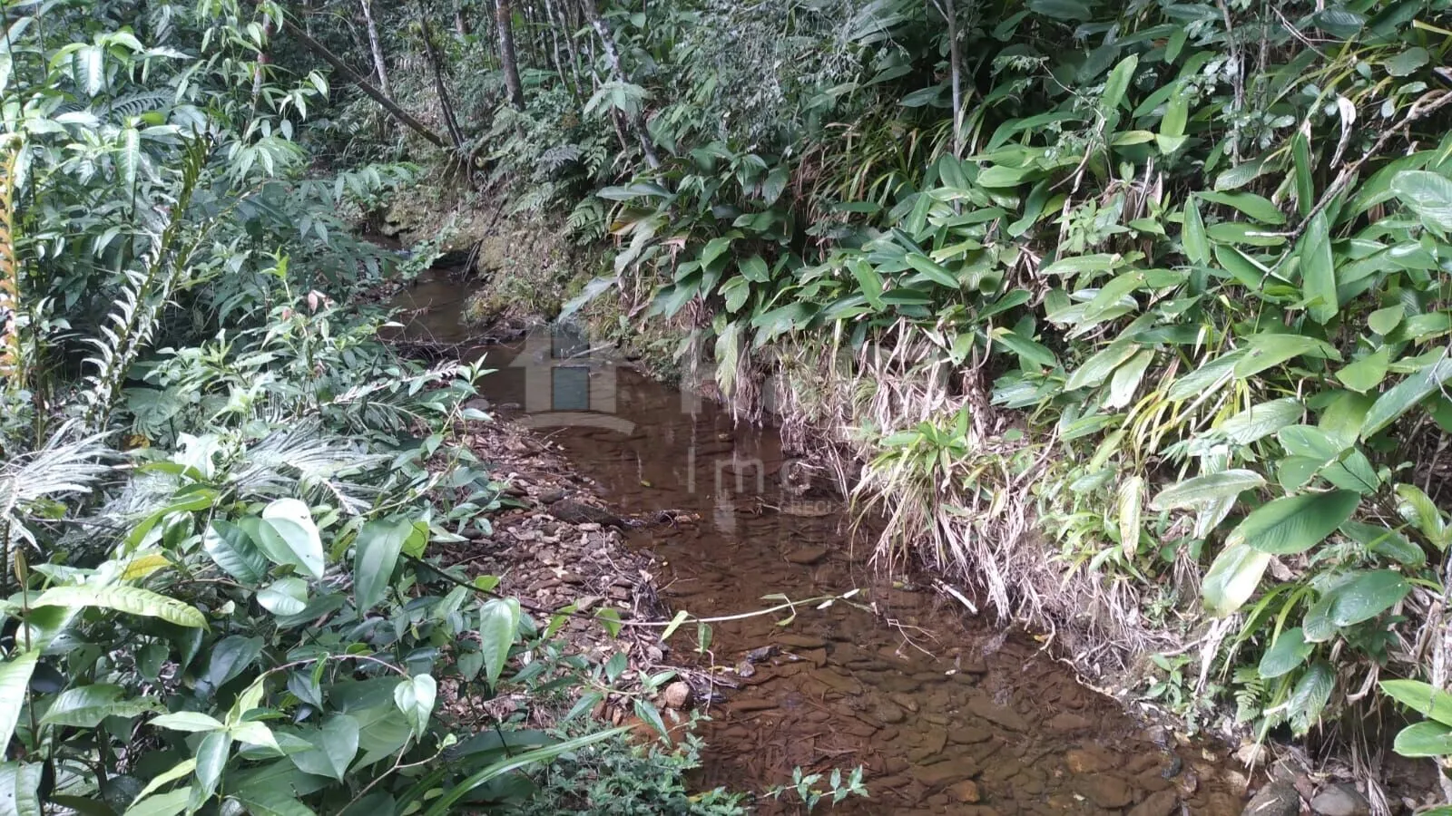 Farm for sale of 4 acres in Itajaí, SC, Brazil