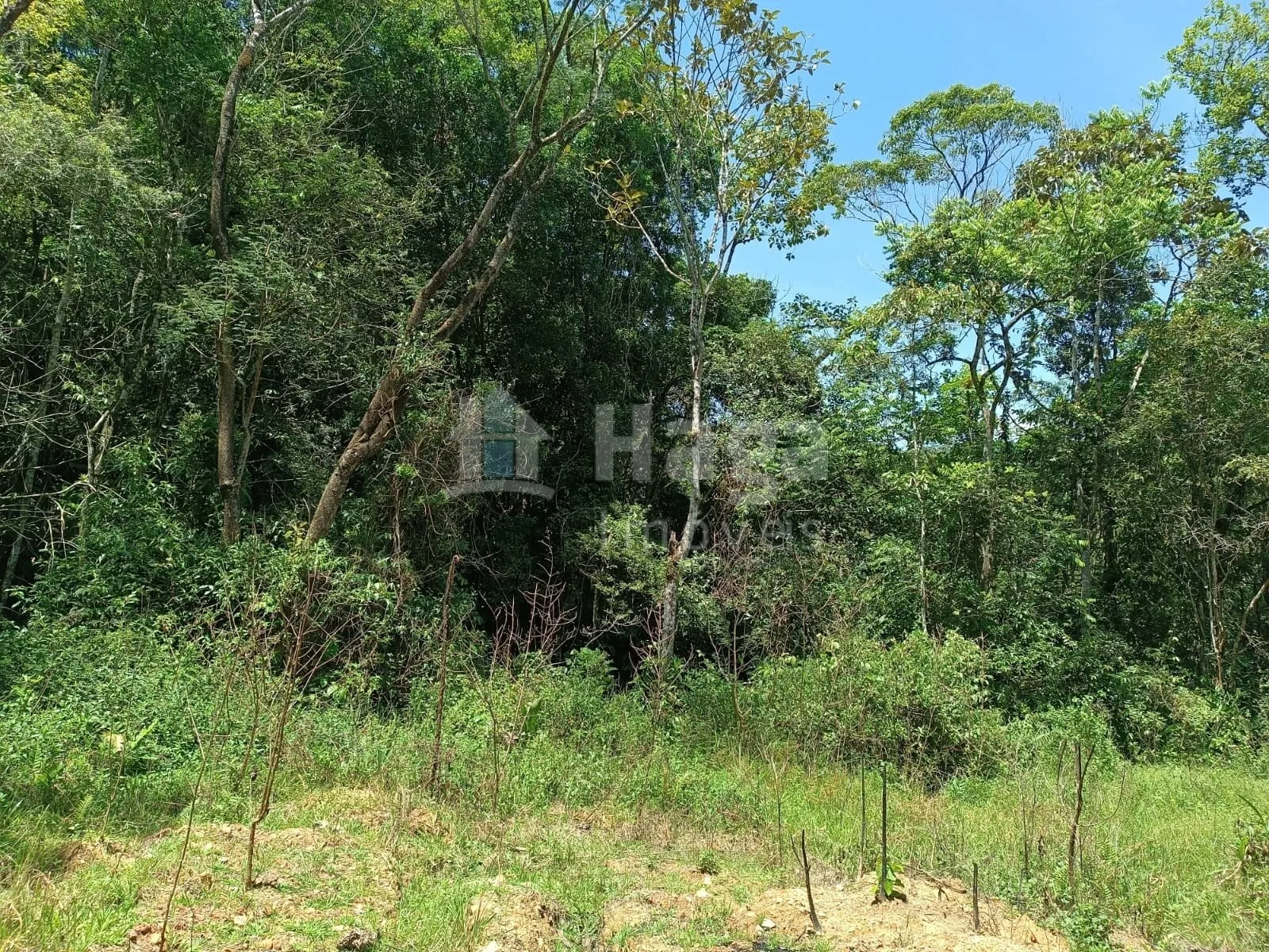 Farm for sale of 4 acres in Itajaí, SC, Brazil