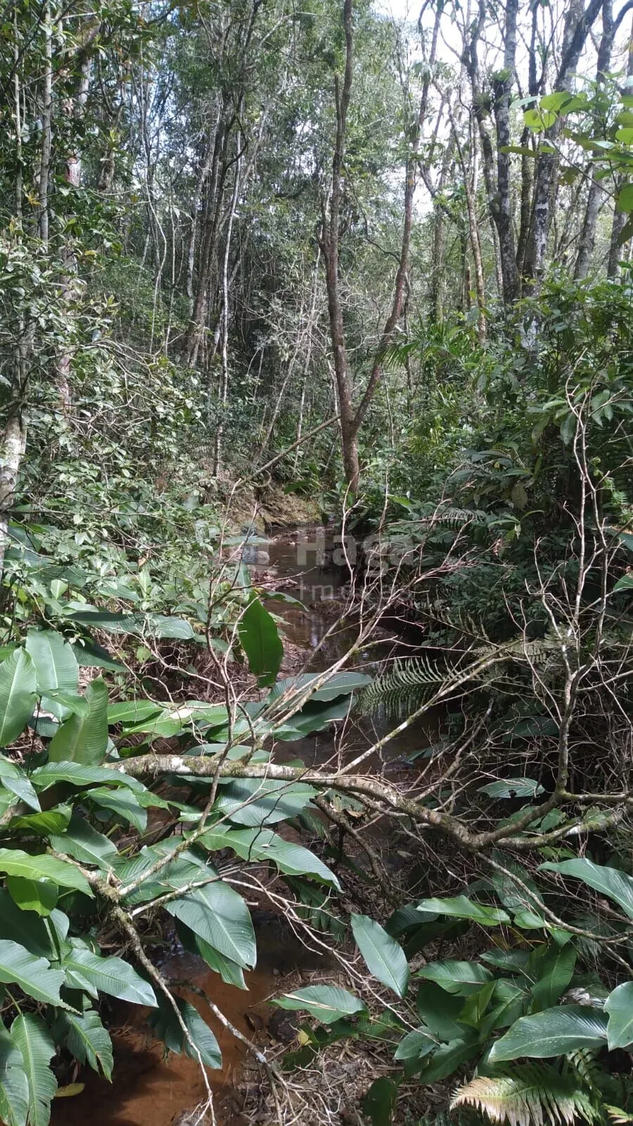 Farm for sale of 4 acres in Itajaí, SC, Brazil
