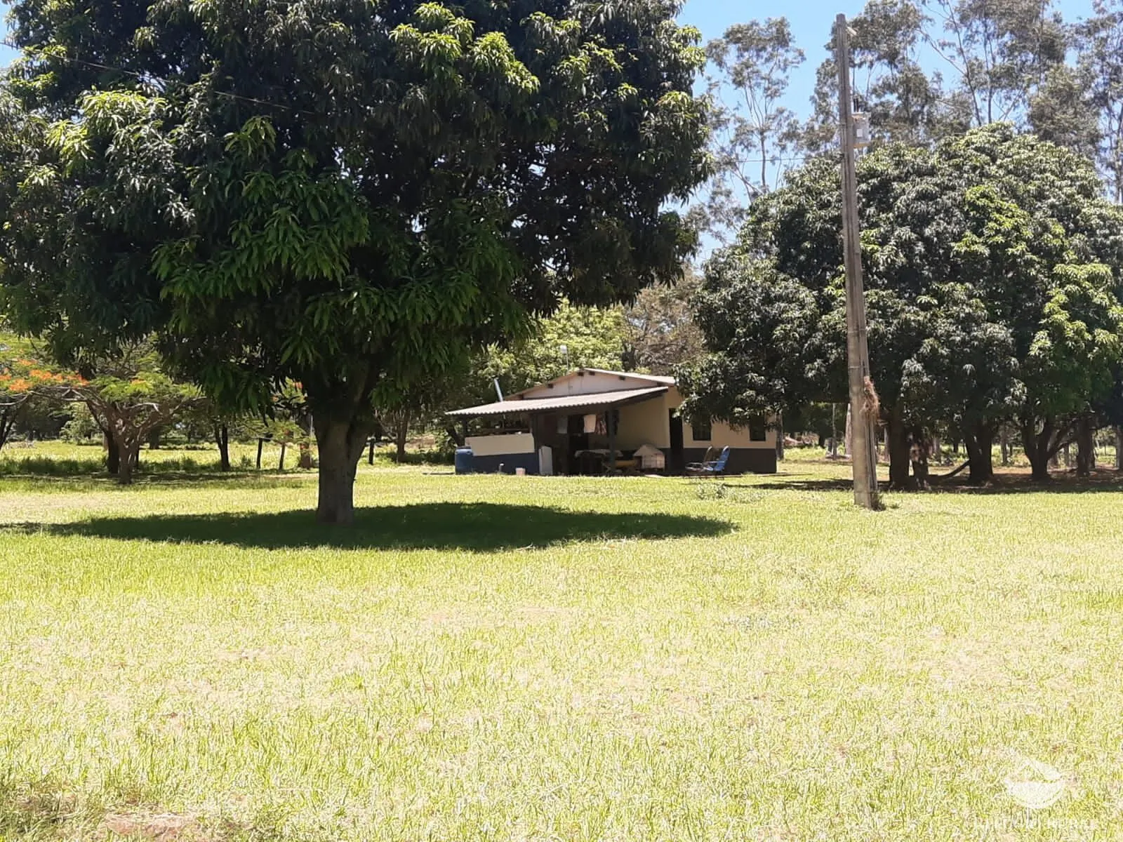 Fazenda à venda de 773 ha em Figueirão, MS, Brasil