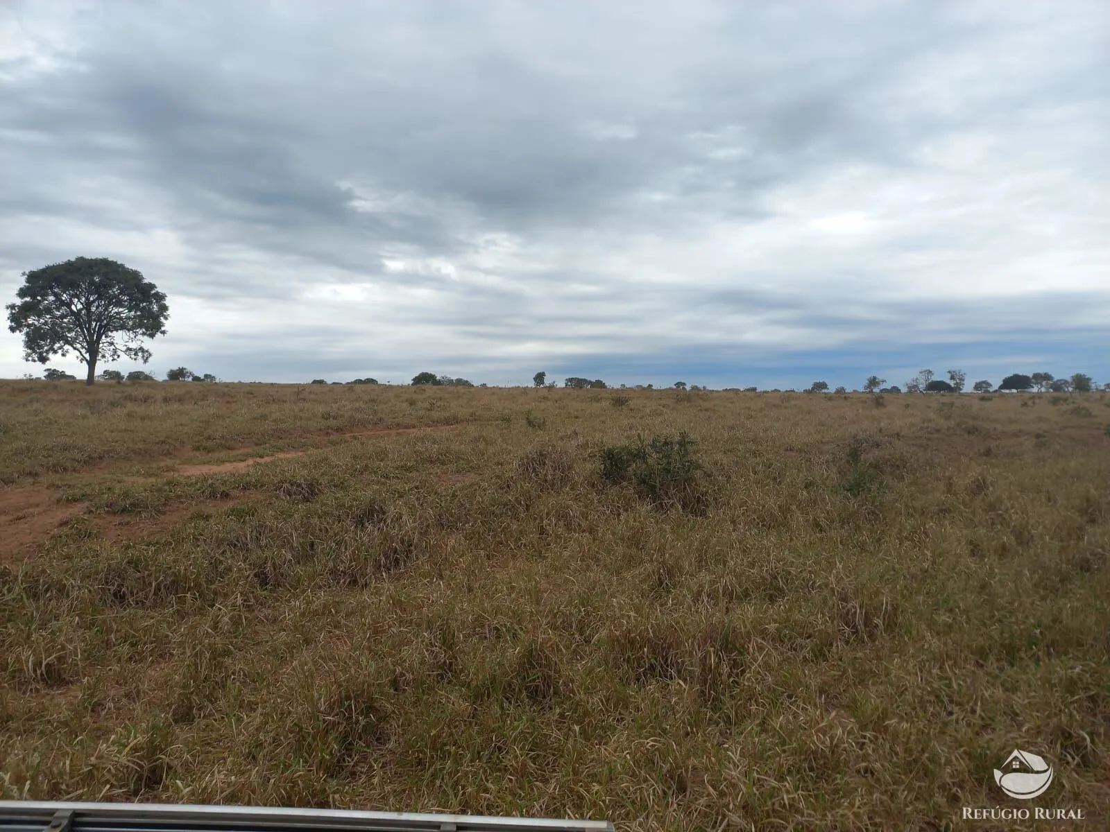 Fazenda à venda de 773 ha em Figueirão, MS, Brasil