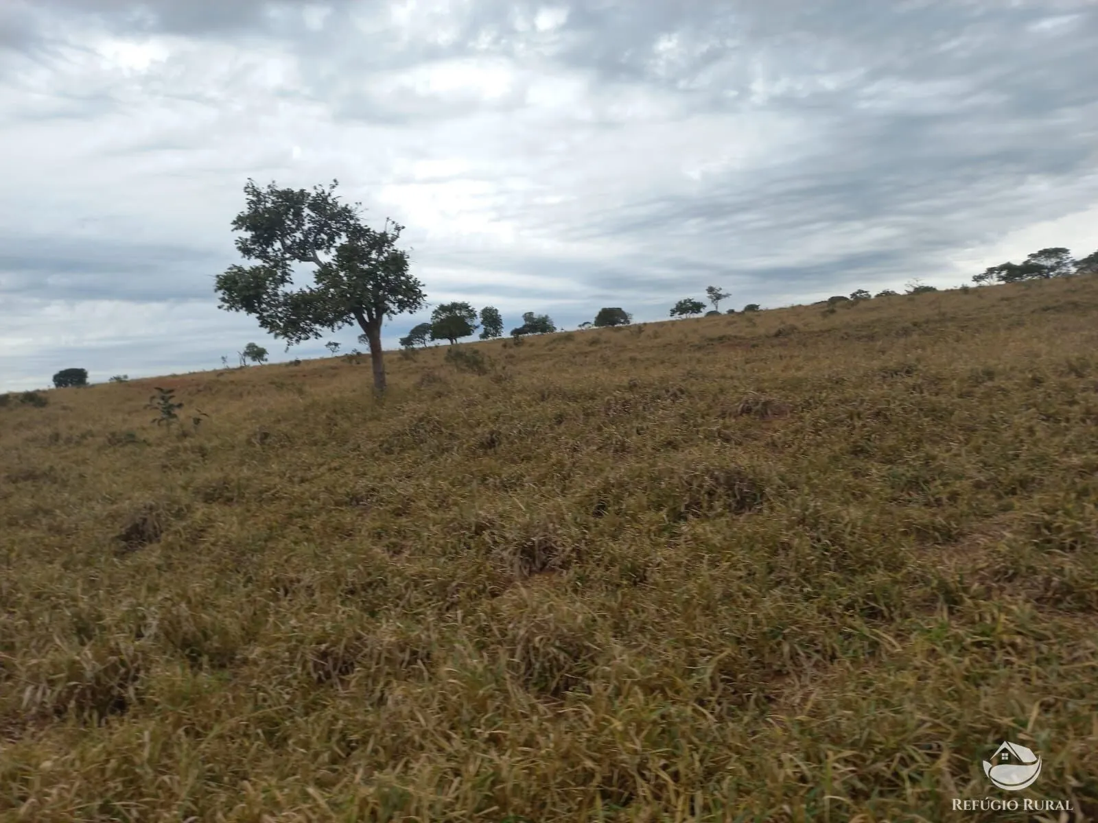 Fazenda à venda de 773 ha em Figueirão, MS, Brasil