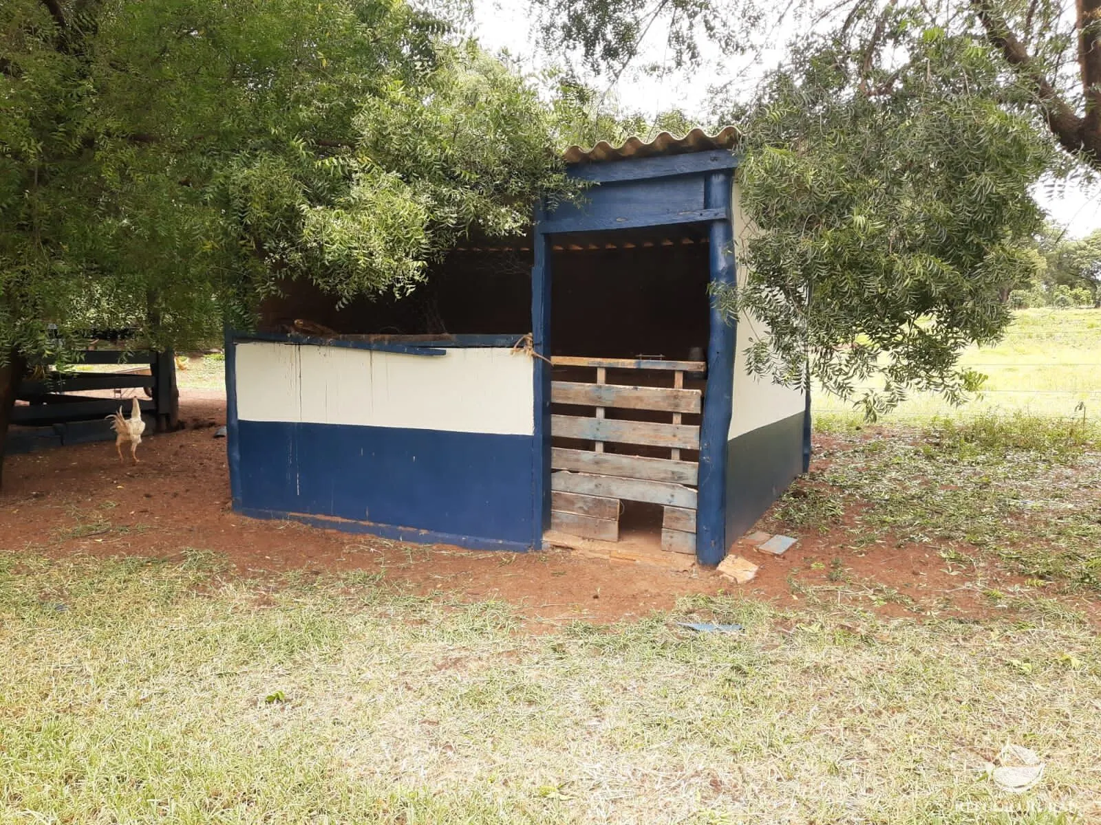 Fazenda à venda de 773 ha em Figueirão, MS, Brasil