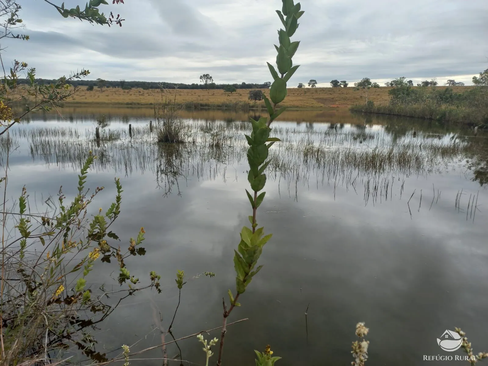 Fazenda à venda de 773 ha em Figueirão, MS, Brasil