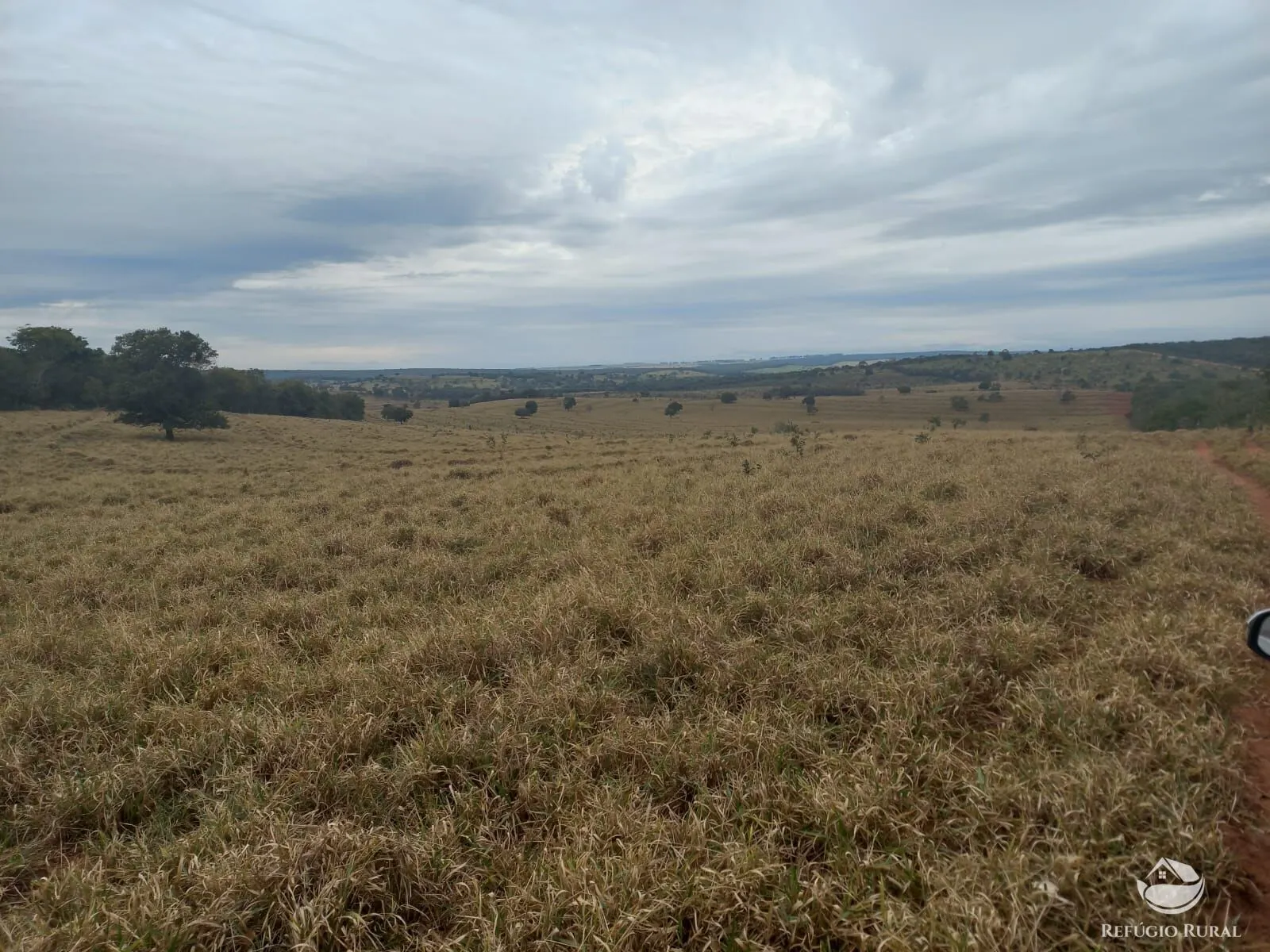 Fazenda à venda de 773 ha em Figueirão, MS, Brasil