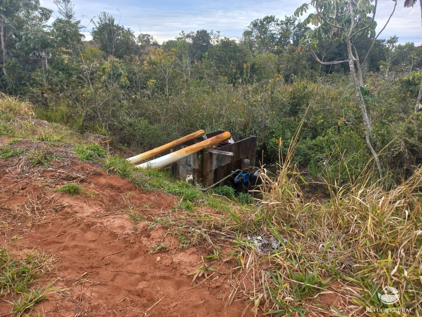 Fazenda à venda de 773 ha em Figueirão, MS, Brasil