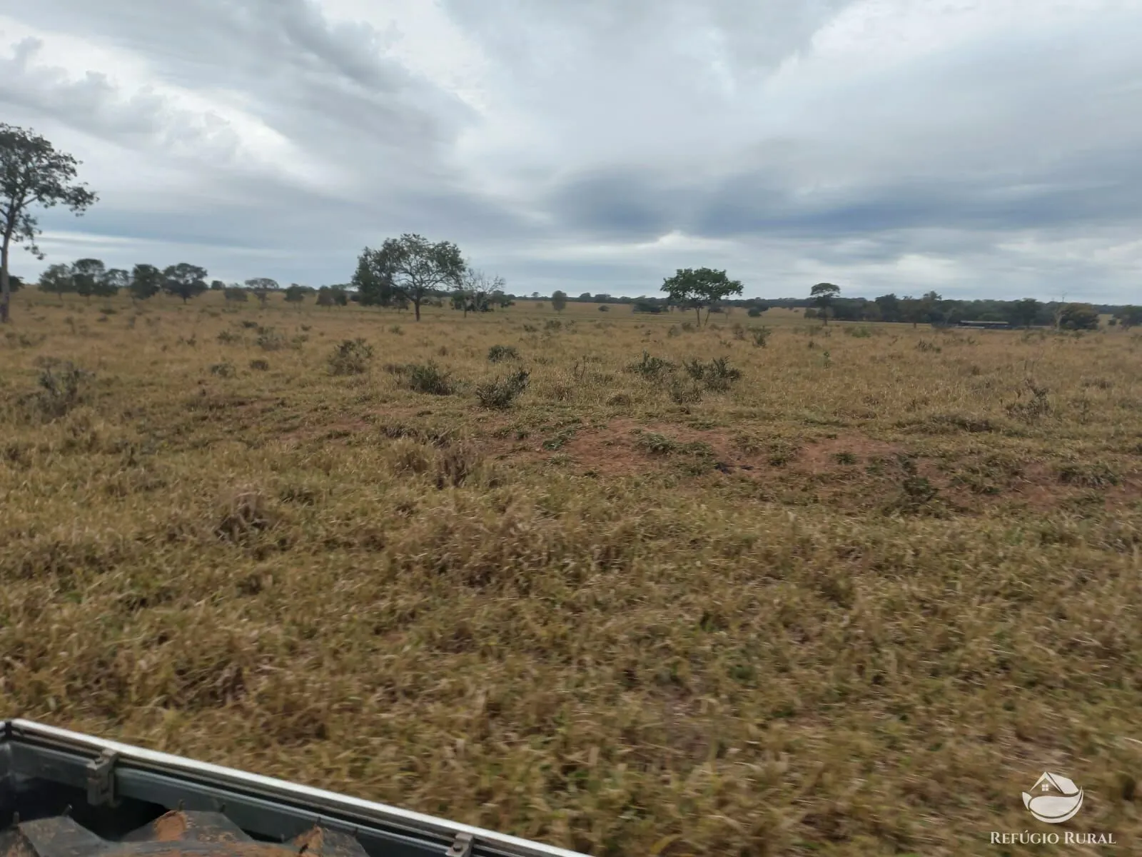 Fazenda à venda de 773 ha em Figueirão, MS, Brasil