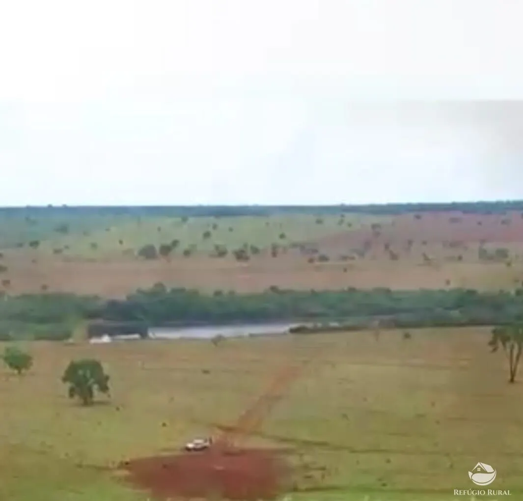 Fazenda à venda de 773 ha em Figueirão, MS, Brasil