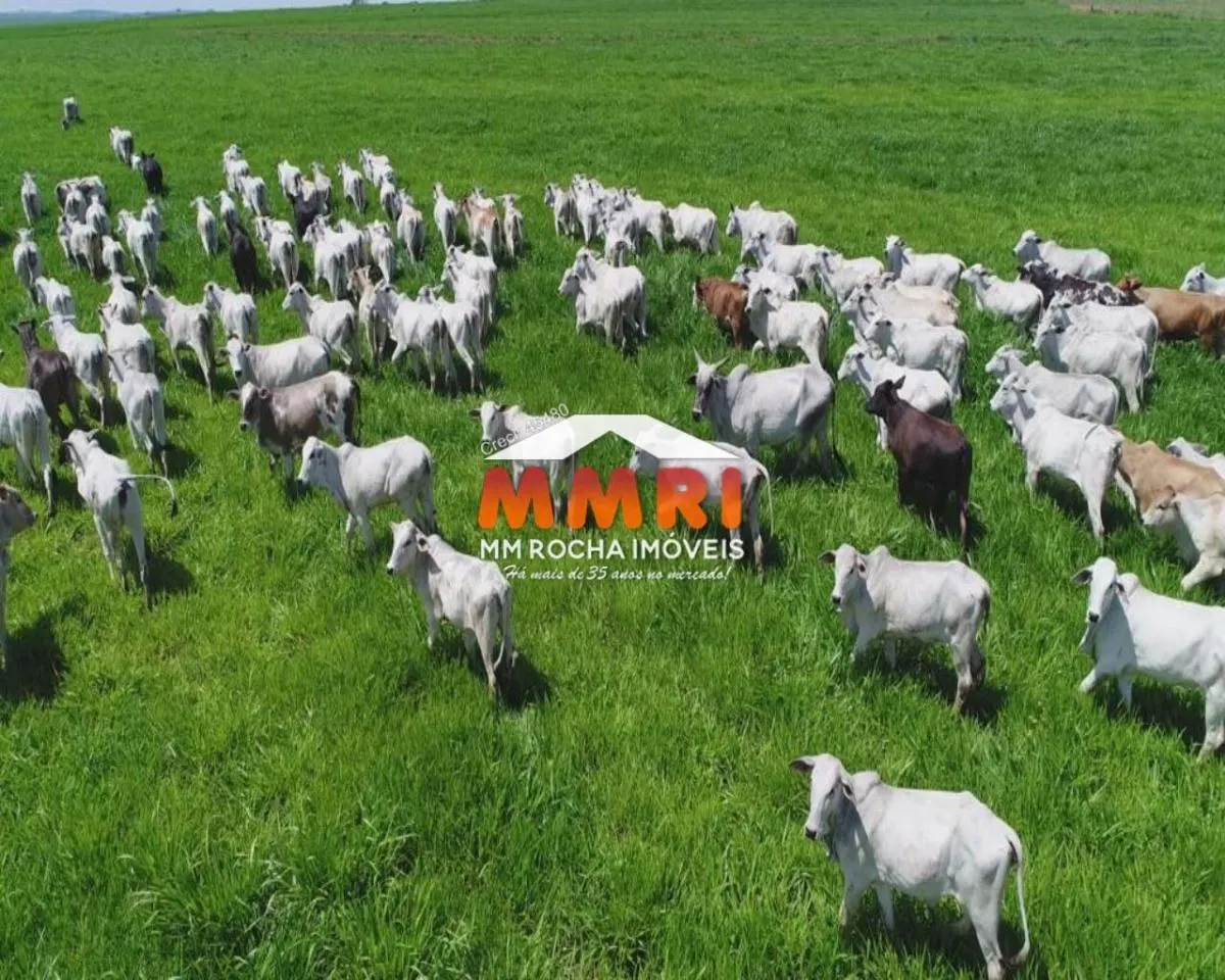 Fazenda à venda de 632 ha em Araçoiaba da Serra, SP, Brasil