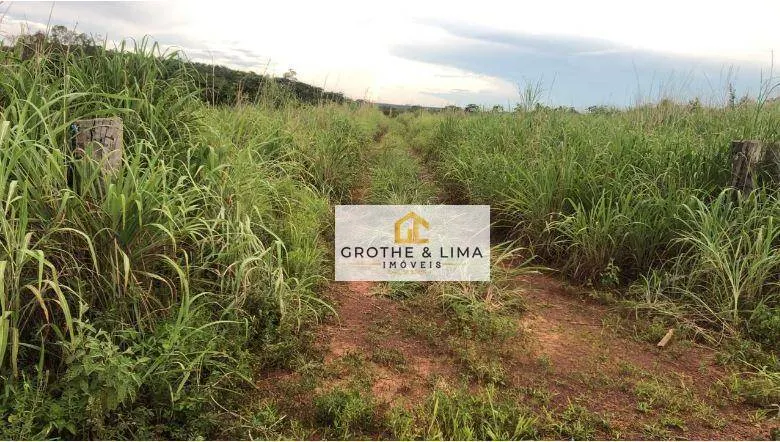 Fazenda à venda de 10.416 ha em Paranatinga, MT, Brasil