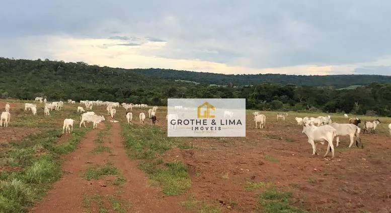 Fazenda à venda de 10.416 ha em Paranatinga, MT, Brasil