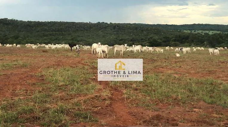 Fazenda à venda de 10.416 ha em Paranatinga, MT, Brasil