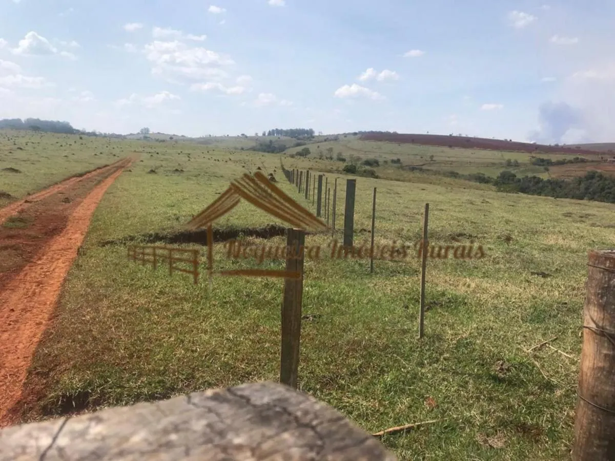 Fazenda à venda de 847 ha em Avaré, SP, Brasil